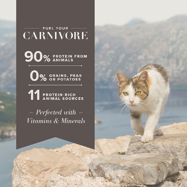 BLUE-CARNIVORA-COASTAL-BLEND-GRAIN-FREE-ADULT-CATS-4LB