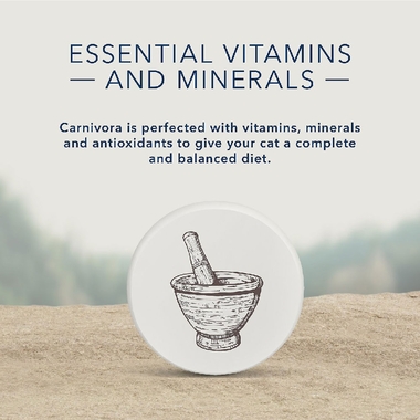 BLUE-CARNIVORA-COASTALBLEND-GRAIN-FREE-ADULT-CATS-CANNED-FOOD-24X5-5-OZ