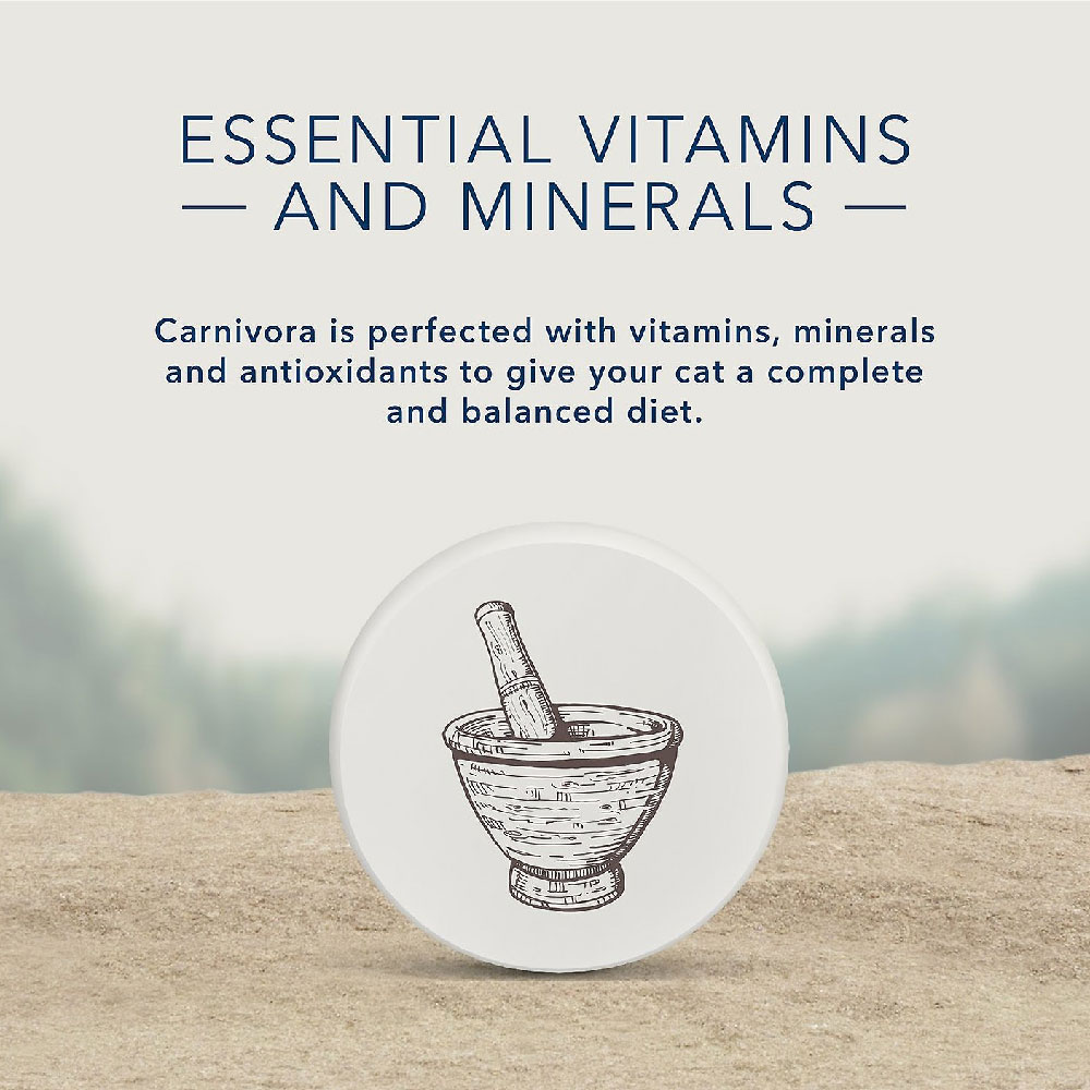 BLUE-CARNIVORA-COASTALBLEND-GRAIN-FREE-ADULT-CATS-CANNED-FOOD-24X5-5-OZ