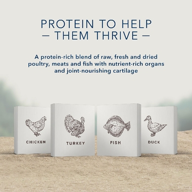 BLUE-CARNIVORA-WOODLAND-BLEND-ADULT-CATS-4LB