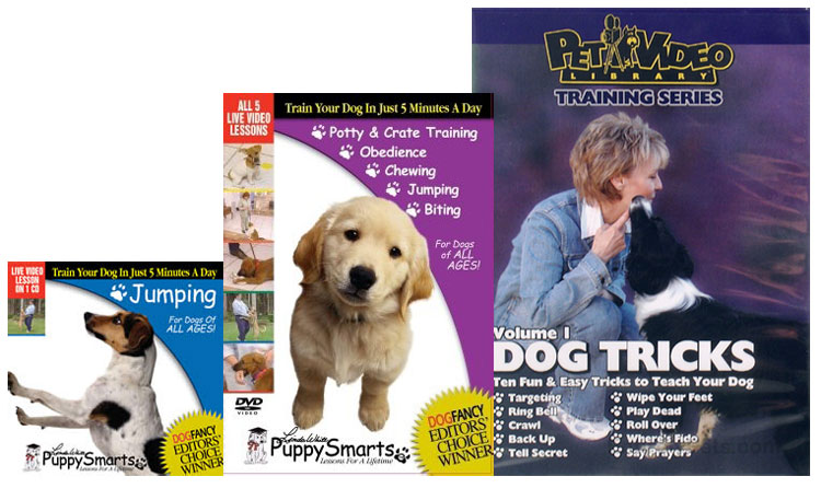 Books & Videos & and DVDs for Dogs