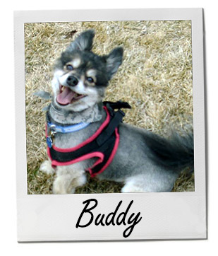 Buddy 9/24/14