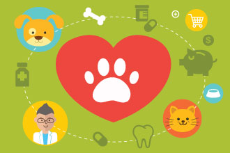 Budget Pet Care: How to Care for Your Pet More- For Less