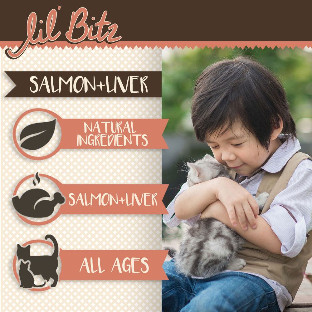 LIL-BITZ-SALMON-LIVER-CATS-48OZ