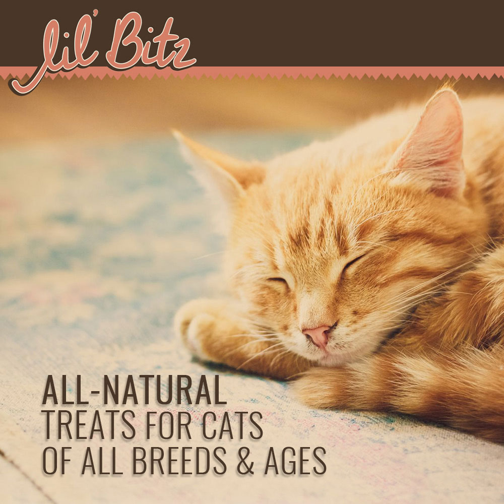 LIL-BITZ-SALMON-LIVER-CATS-48OZ