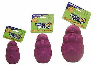 Busy Buddy Puppy Toys