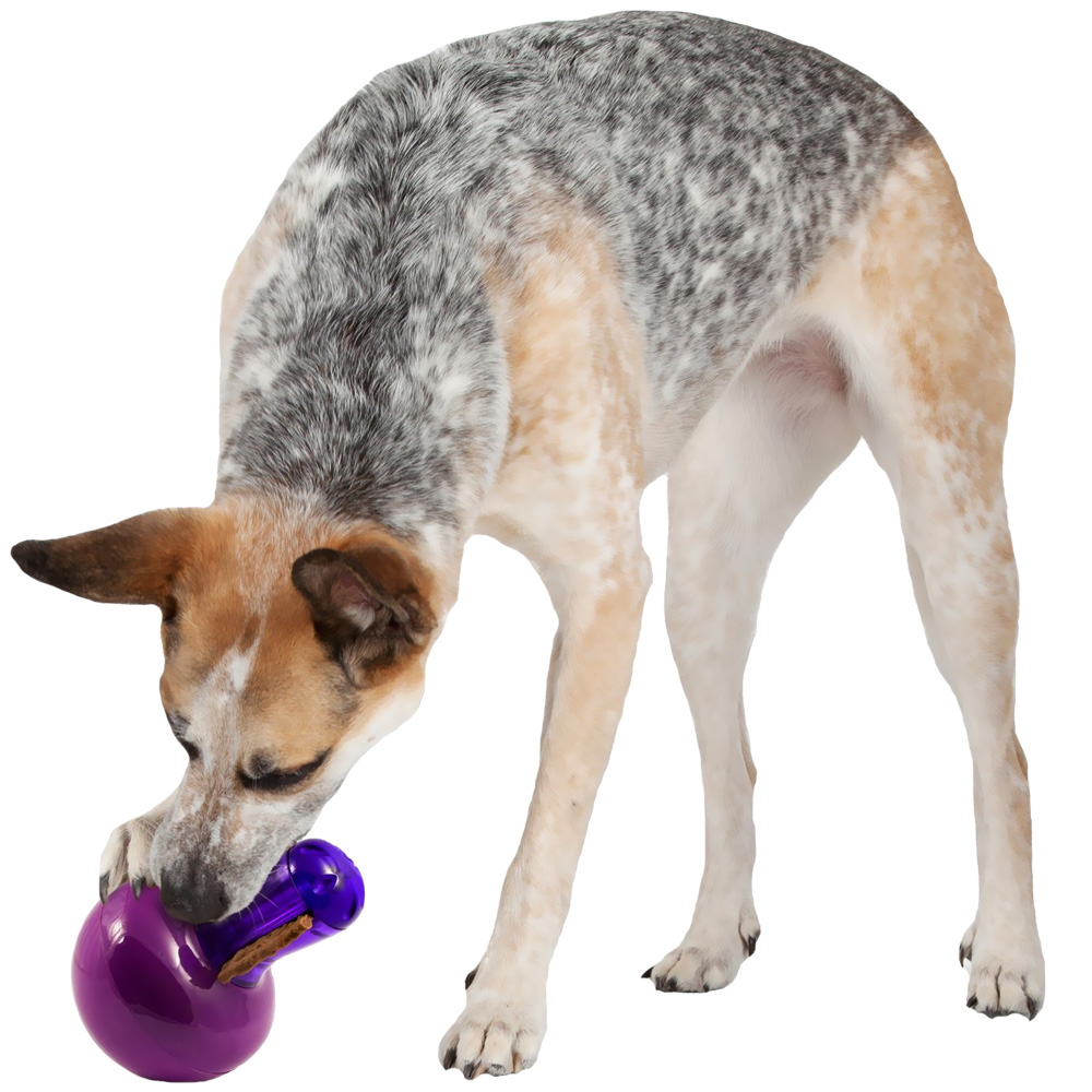 BUSY-BUDDY-TEETER-TREATER-SMALL