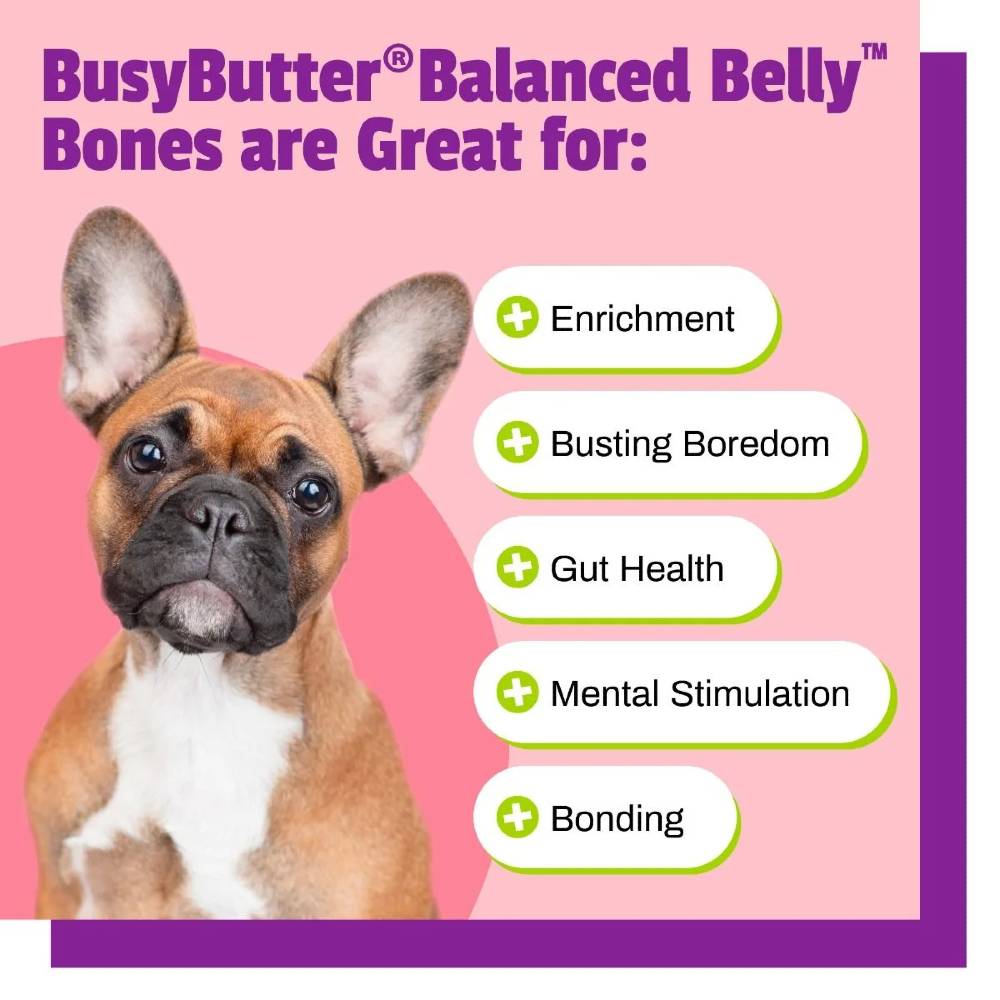 BUSYBUTTER-BELLY-BONES-SMALL-DOGS-13OZ