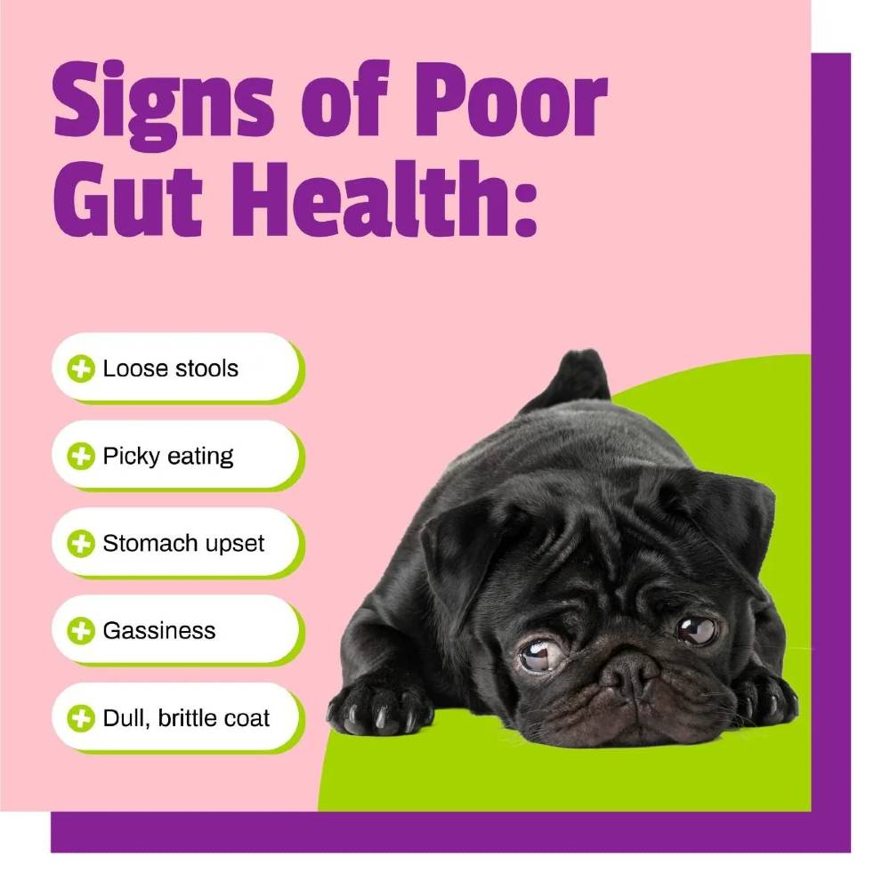 BUSYBUTTER-BELLY-BONES-SMALL-DOGS-13OZ