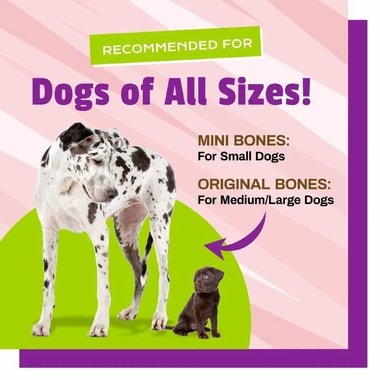 BUSYBUTTER-BELLY-BONES-SMALL-DOGS-13OZ