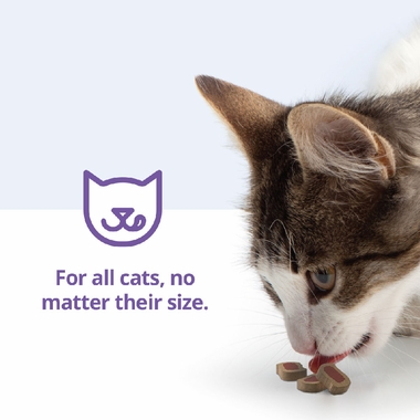 CET-INTELLIDENT-CAT-BITES-90-COUNT