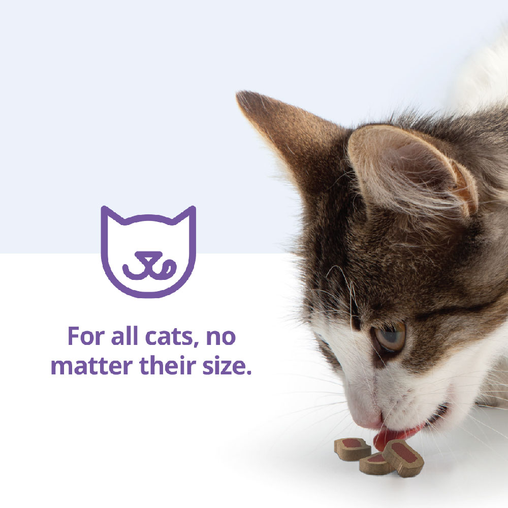 CET-INTELLIDENT-CAT-BITES-90-COUNT
