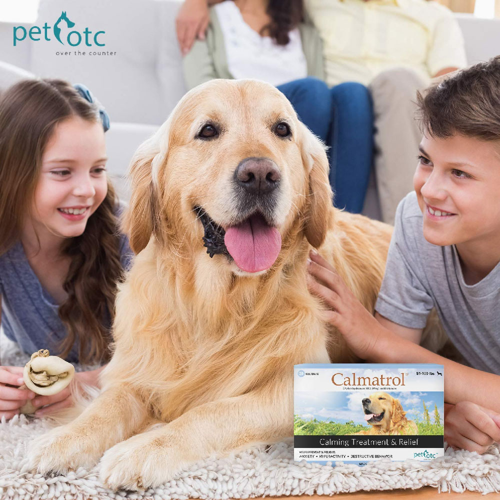 CALMATROL-CALMING-TREATMENT-RELIEF-51-100-LBS