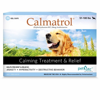 Medication To Calm Dogs In Car