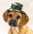 Camo Hats
