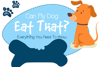 Can My Dog Eat That? A Safety Guide to Giving Human Food to Dogs