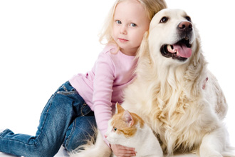 Canine Concerns: How to Help Children Who Fear Dogs
