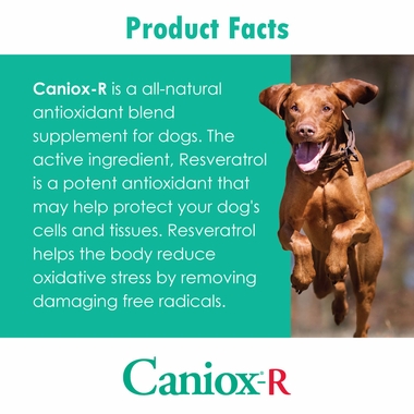 CANIOXR