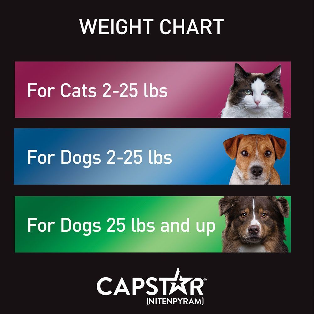Capstar Blue for Dogs or Cats (6 Tablets) EntirelyPets