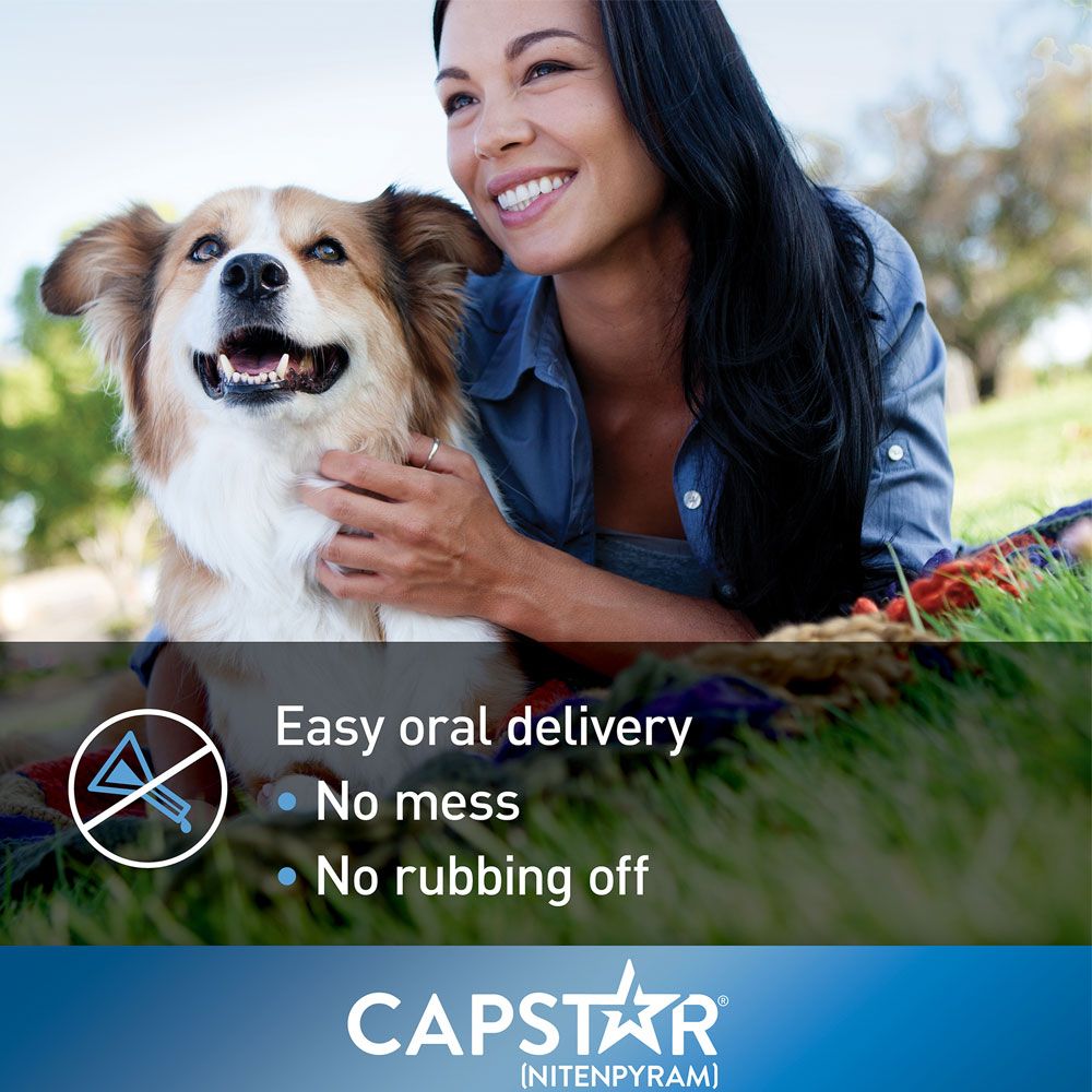 Capstar Blue for Dogs or Cats (6 Tablets) EntirelyPets
