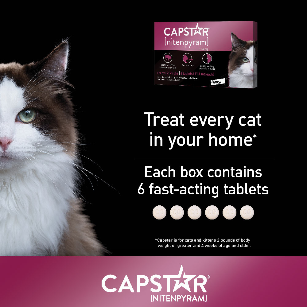 CAPSTAR-PINK-6-TABLETS