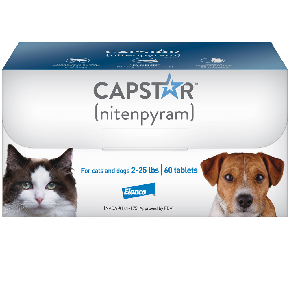 Buy Capstar Flea Treatment Tablets for Dogs and Cats EntirelyPets