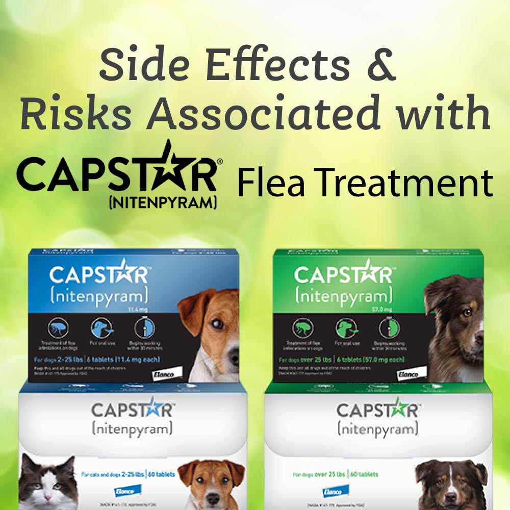 Capstar Flea Treatment Side Effects