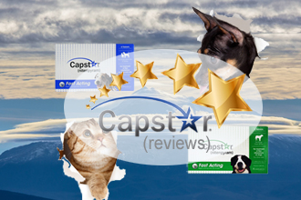 Capstar Reviews