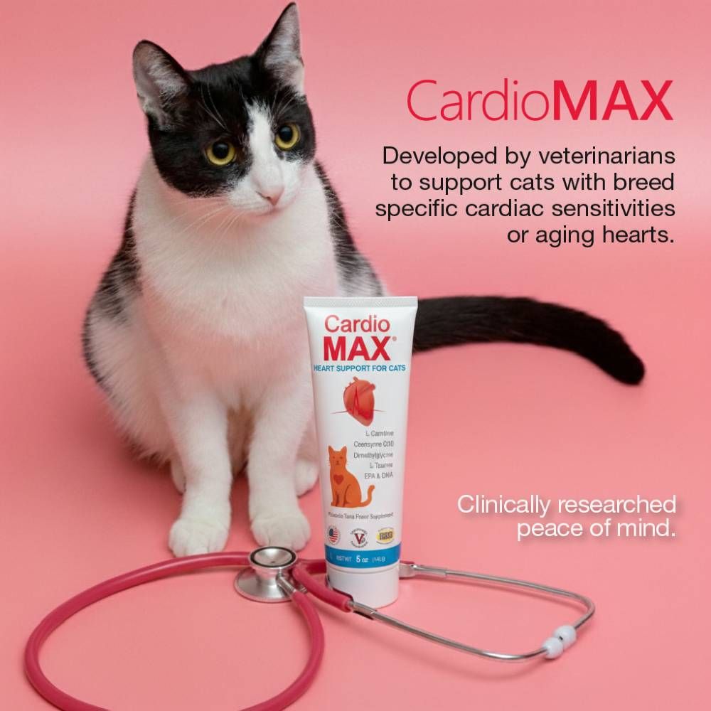 CARDIOMAX-CATS-5OZ-GEL