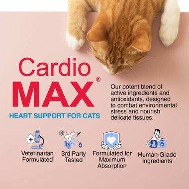 CARDIOMAX-CATS-5OZ-GEL