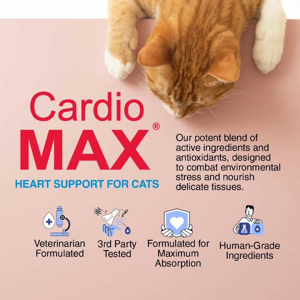 CARDIOMAX-CATS-5OZ-GEL