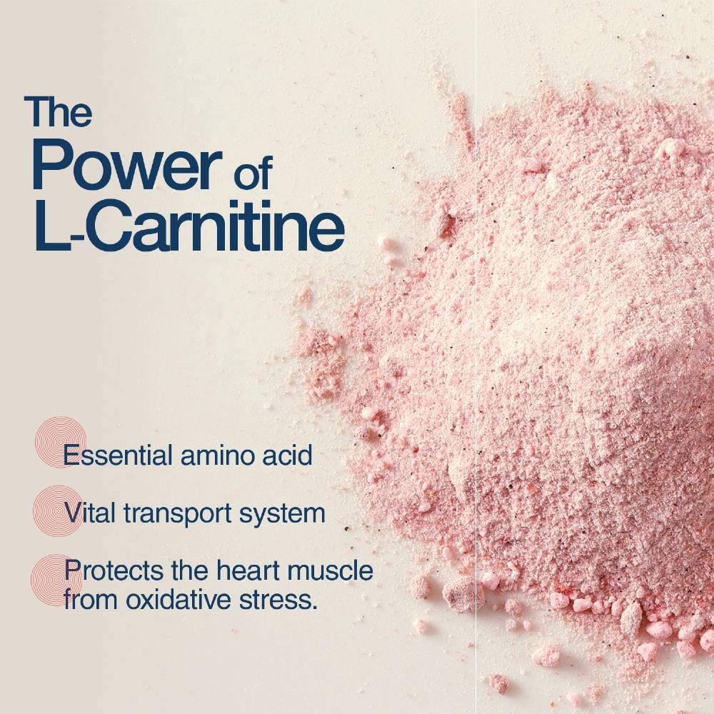 CARDIOMAX-CATS-5OZ-GEL