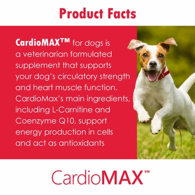 CARDIOMAX-360-SOFT-CHEWS