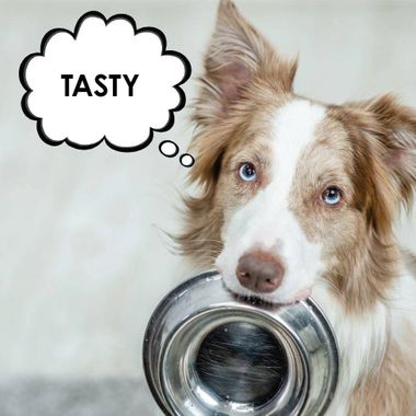 CARDIOMAX-HEART-SUPPORT-DOGS-GRANULES-90-DOSES