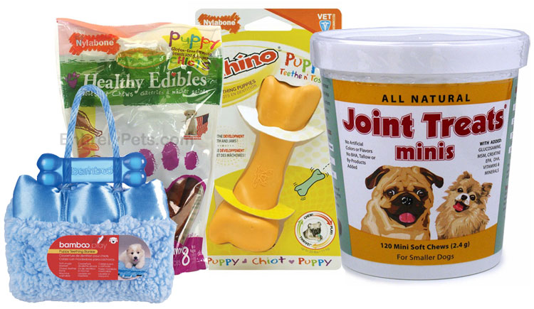Care Supplies for Puppy 