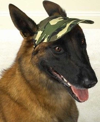 CAMOCAPMEDIUM