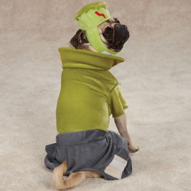 CASUAL-CANINE-FRANKENHOUND-COSTUME-GREEN-SMALL
