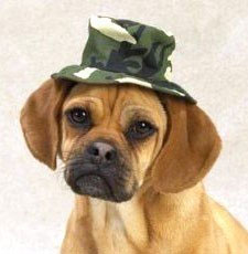 CASUAL-CANINE-CAMO-BUCKET-HAT-GREEN-LARGE