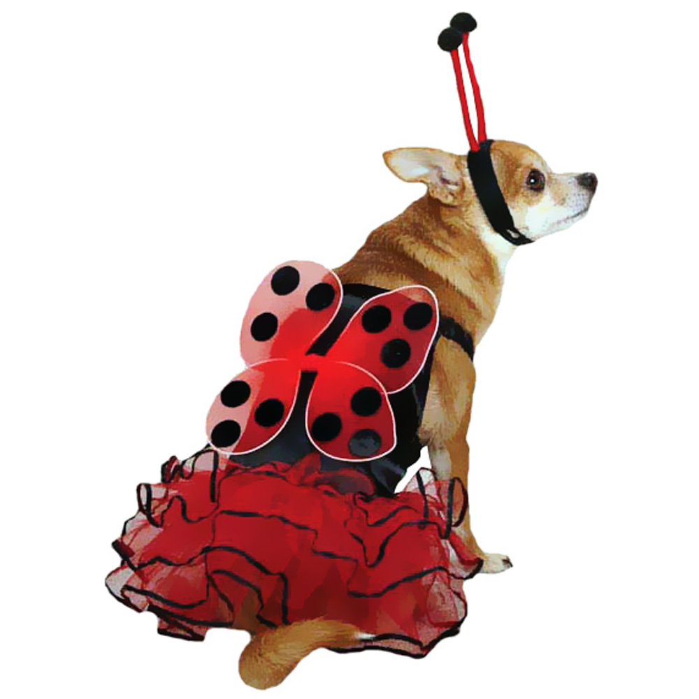 CASUAL-CANINE-LUCKY-BUG-COSTUME-RED-XSMALL