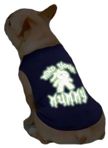 CASUAL-CANINE-MIND-YOUR-MUMMY-TEE-BLUE-SMALL-MEDIUM