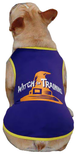 CASUAL-CANINE-WITCH-IN-TRAINING-TEE-PURPLE-SMALL