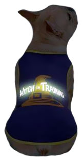 CASUAL-CANINE-WITCH-IN-TRAINING-TEE-PURPLE-SMALL