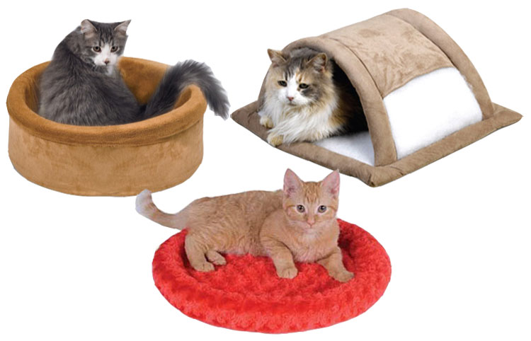 Cat Beds and Cushions
