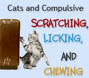 Cat Scratching Remedies