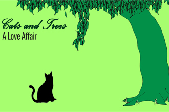 Cats and Trees: A Love Affair
