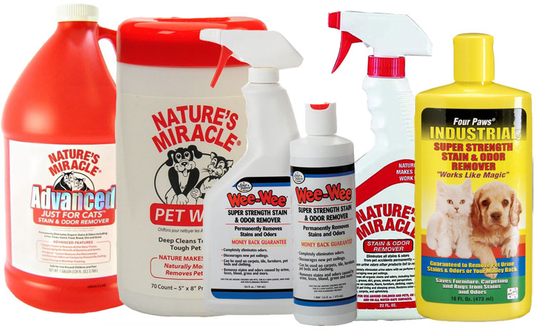 Cats Stain & Odor Removal  