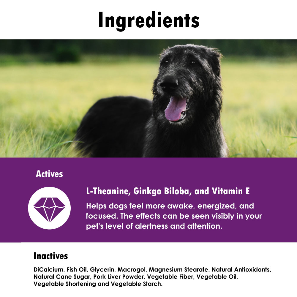 CERETRIX-FOR-LARGE-DOGS-60-SOFT-CHEWS