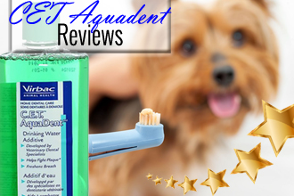 CET Aquadent Reviews