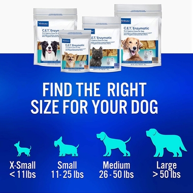 Comparison of teeth before and after using CET chews