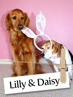 Check Out This Adorable & Talented Duo: Lilly and Daisy!